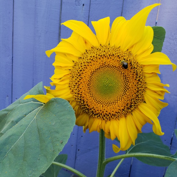 Meet your Posher, Mess - Picture 1 of 1